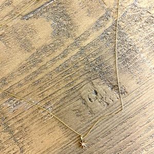 Dana Rebecca Star burst necklace